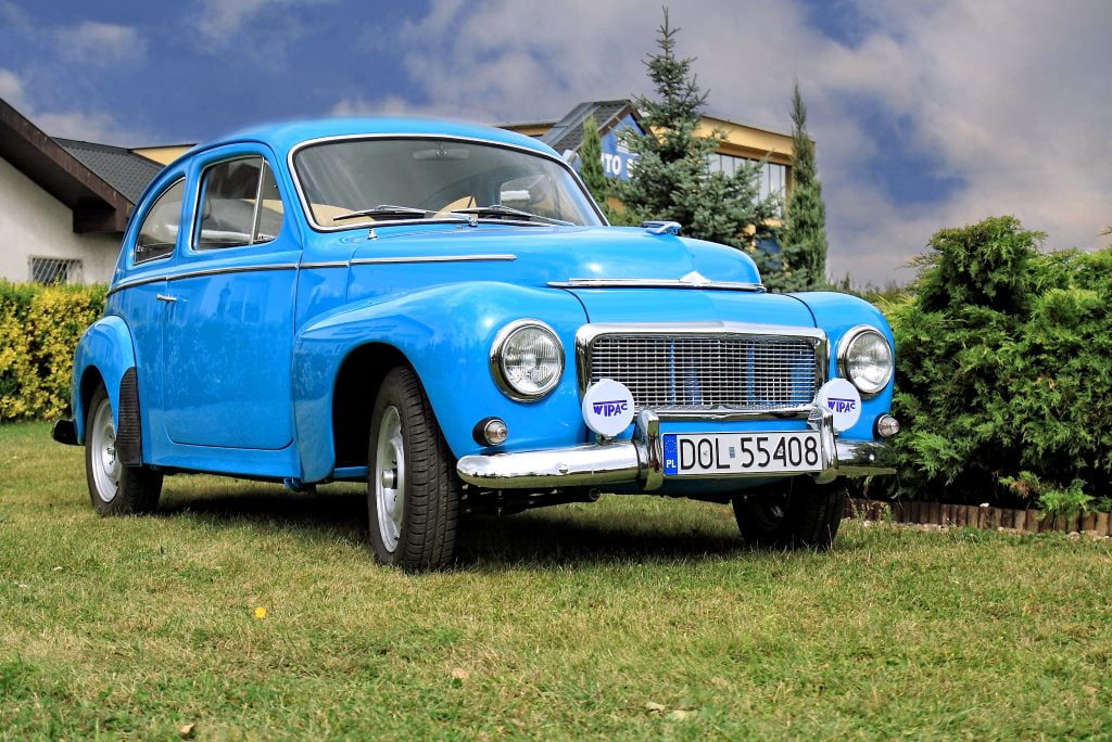 Fot. Kasia Niedźwiedzka