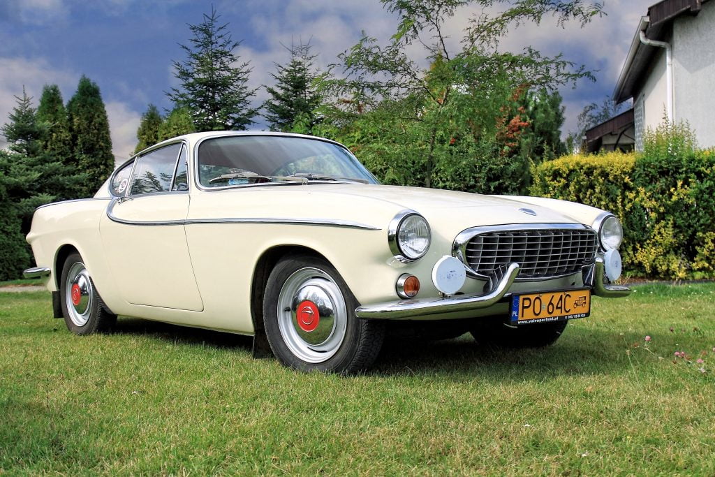 Fot. Kasia Niedźwiedzka