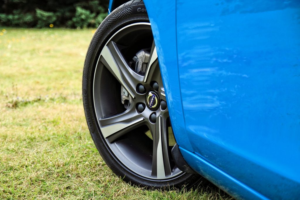 Fot. Kasia Niedźwiedzka