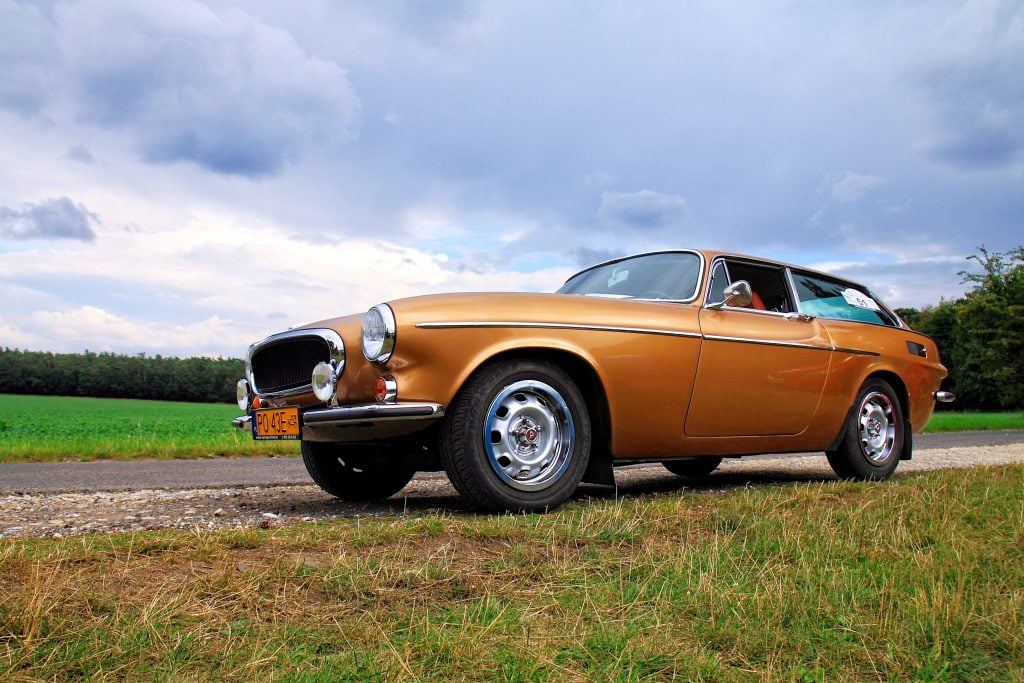 Fot. Kasia Niedźwiedzka