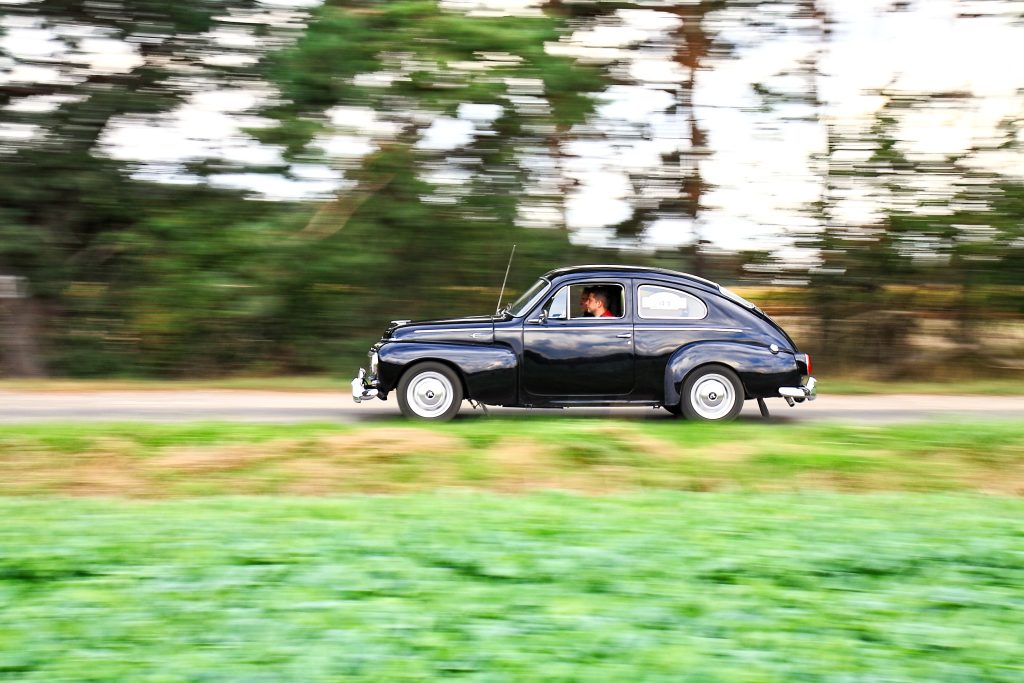 Fot. Kasia Niedźwiedzka