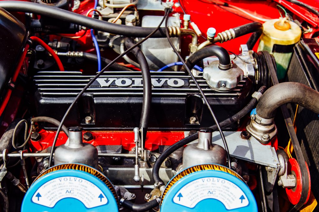 Fot. Mariusz Kaszuba