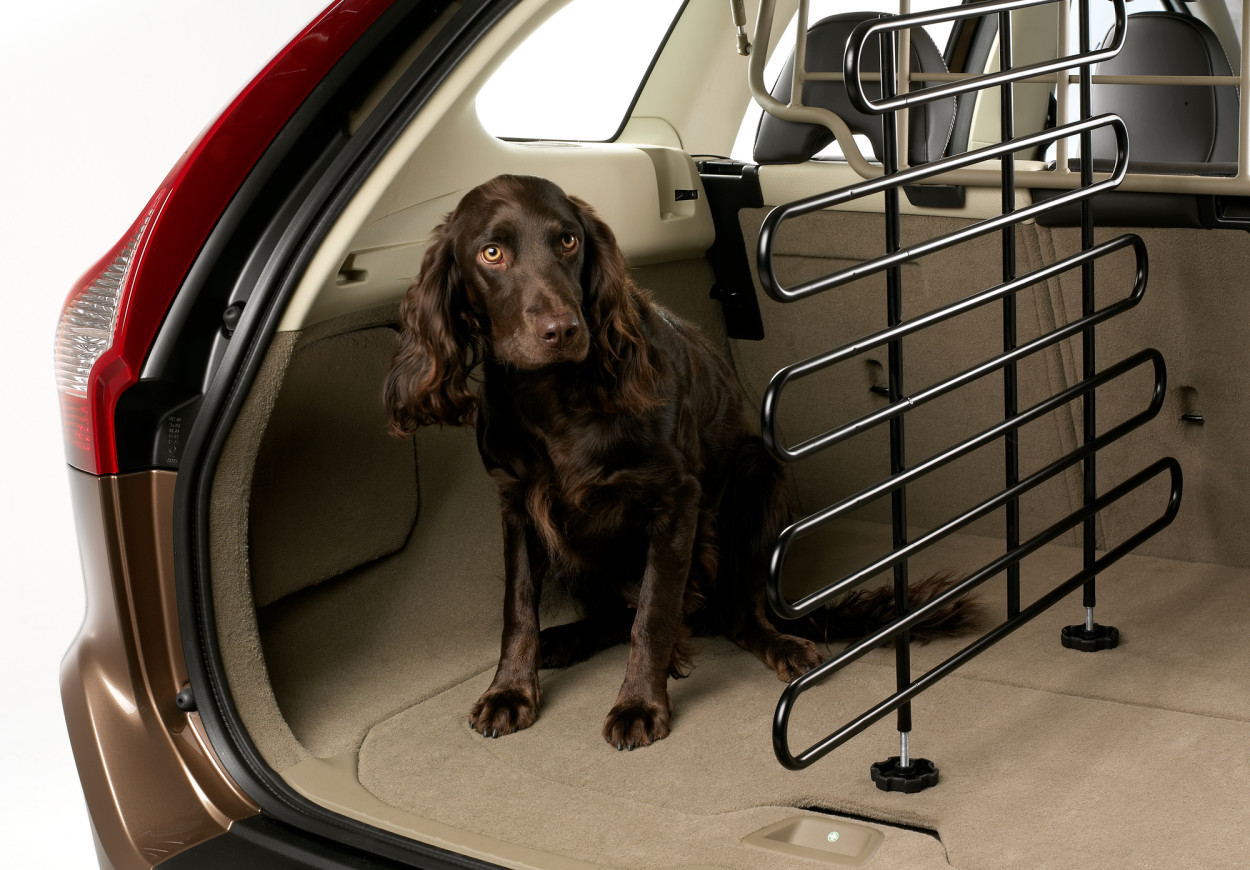 Volvo czworonogom specjalna klatka do przewozu psów